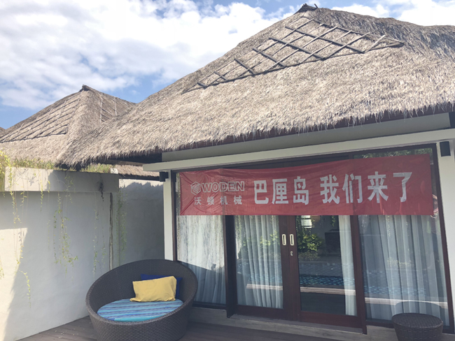 杏盛2017优秀员工巴厘岛之旅