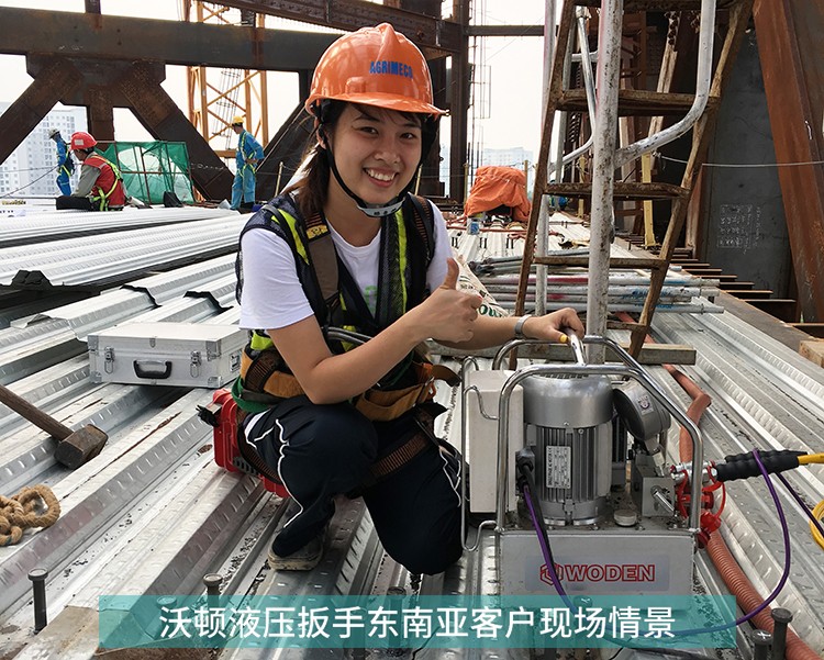 杏盛液压扳手越南用户